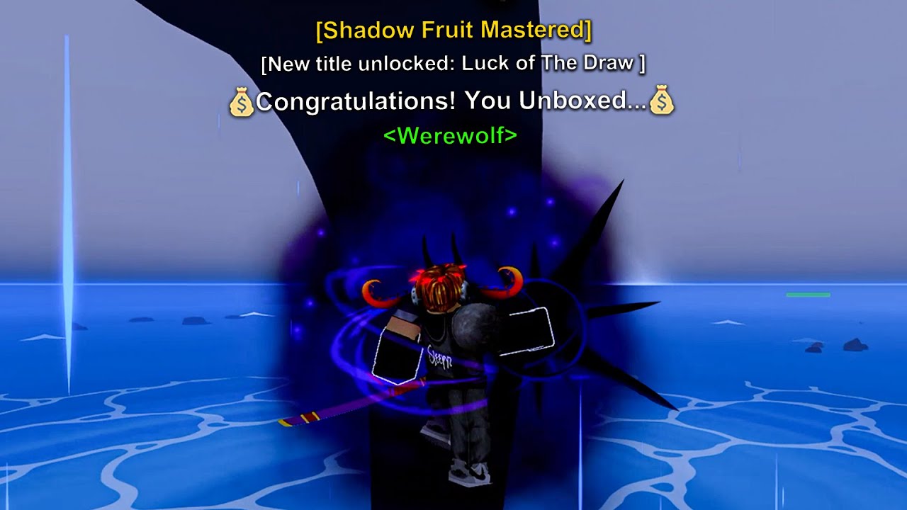 I Master SHADOW FRUIT Before Update 29, But... [Blox Fruits]