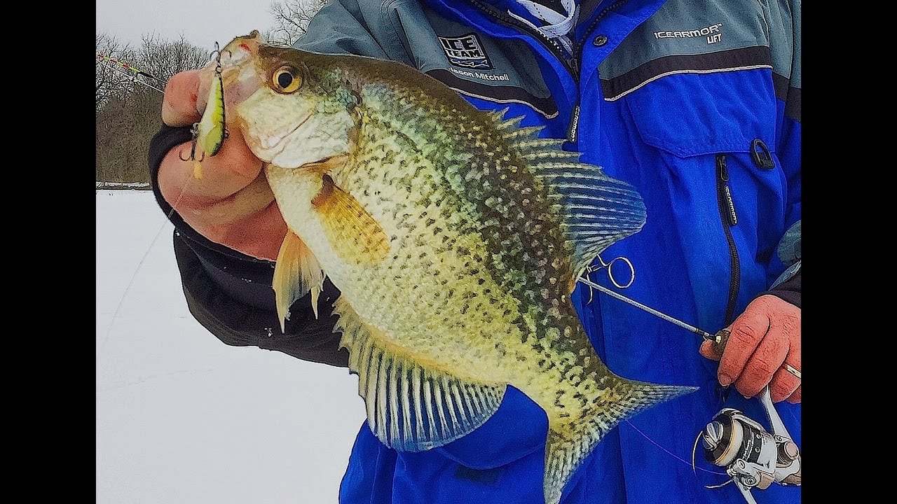 Iowa Borrow Pit Crappie and Gills