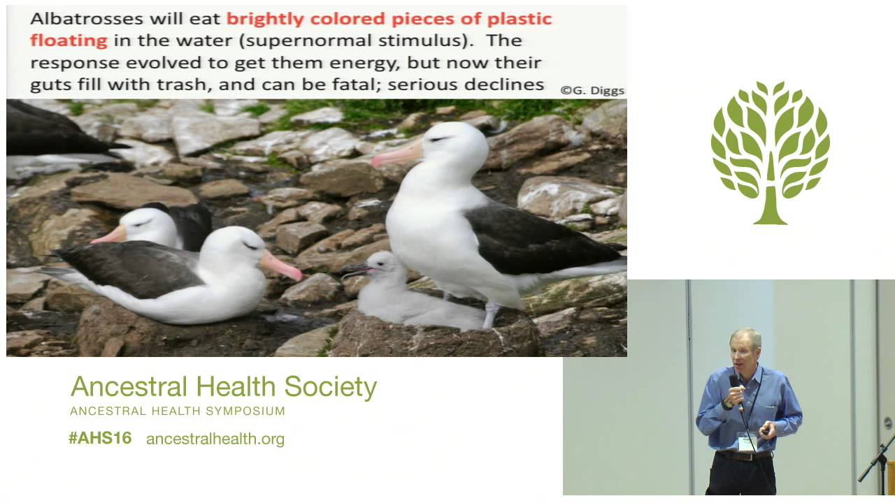 AHS16 - George Diggs - More Consequences of Evolutionary Mismatch