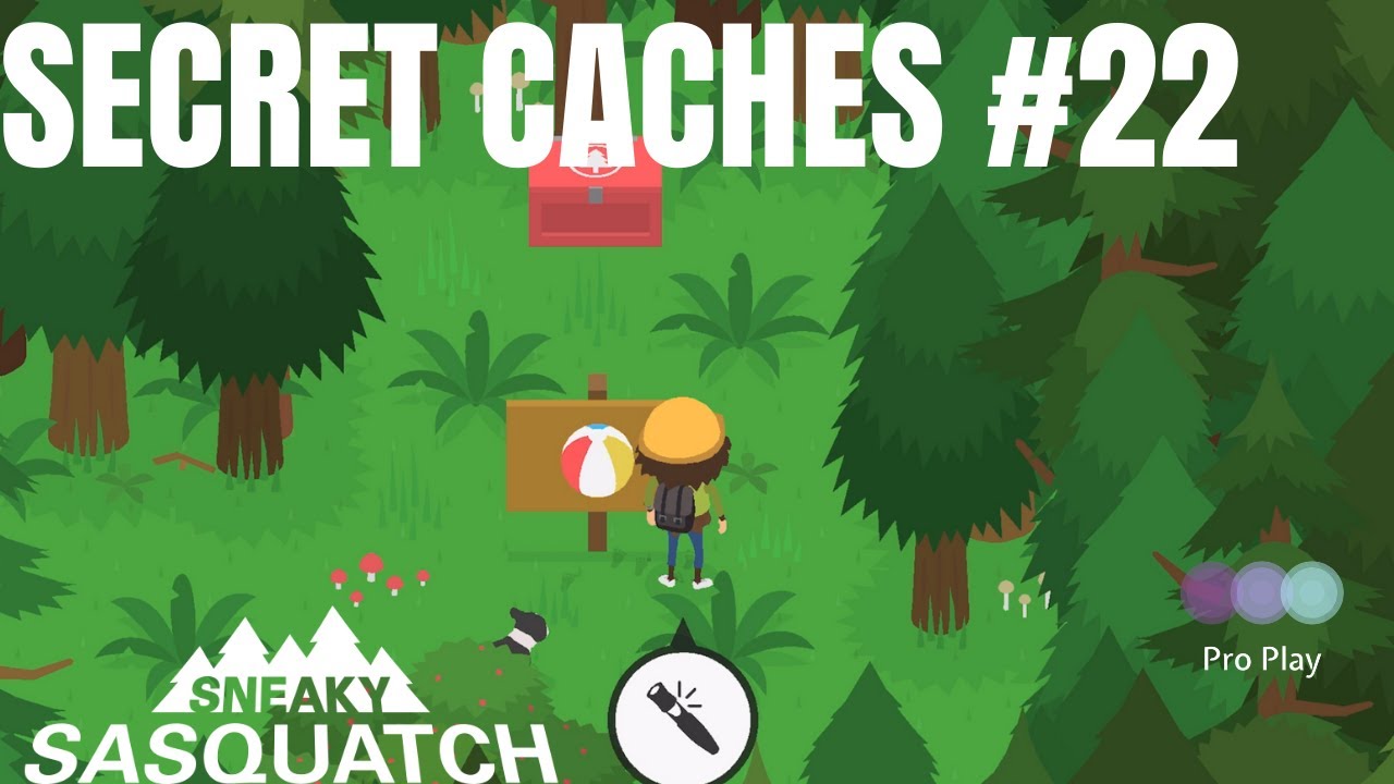 Secret Cache #22 | Sneaky Sasquatch
