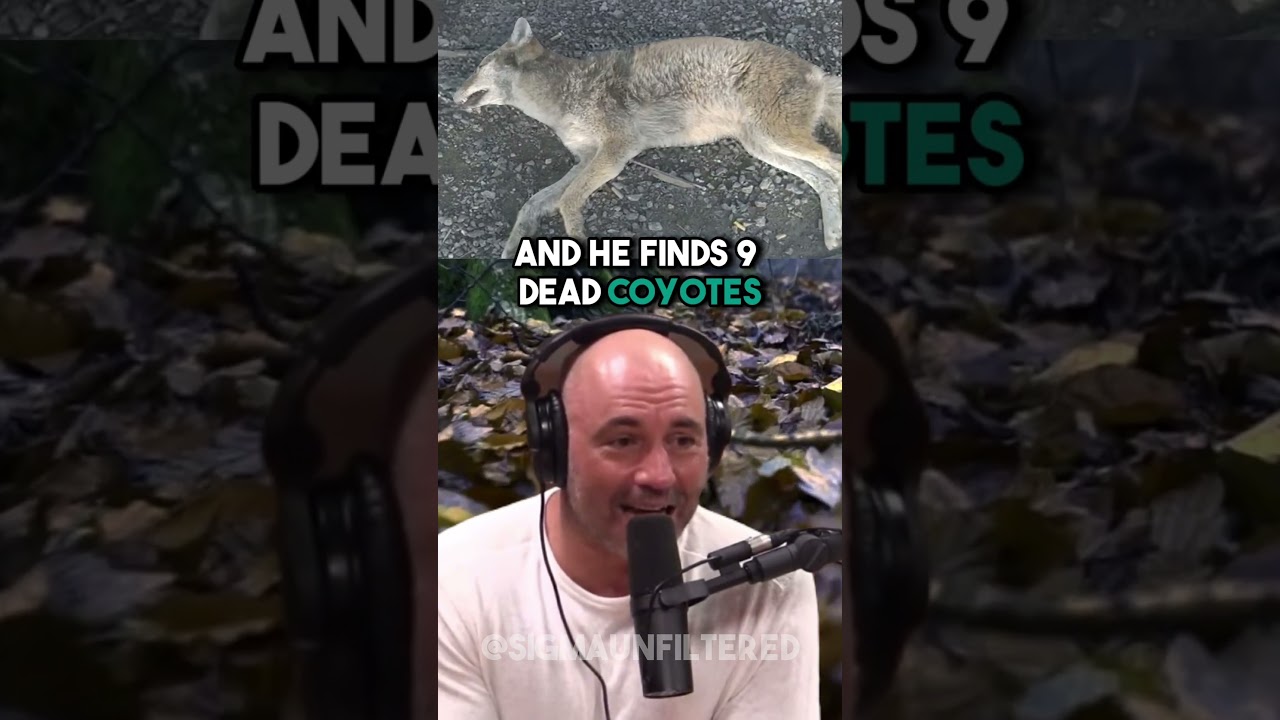 Самая ДИКАЯ история Pitbull vs Coyote | JRE с Трэвисом Баркером