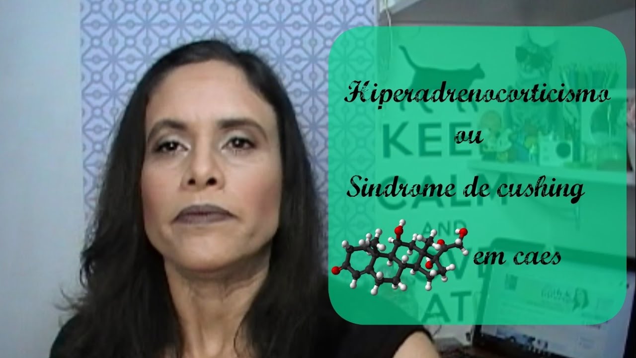 HIPERADRENOCORTICISMO EM CÃES / #VidaDeVeterinaria