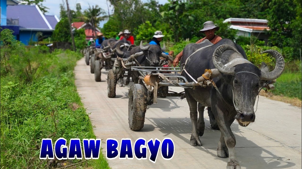 Jockpot bumubutas isang lakad isang hinto