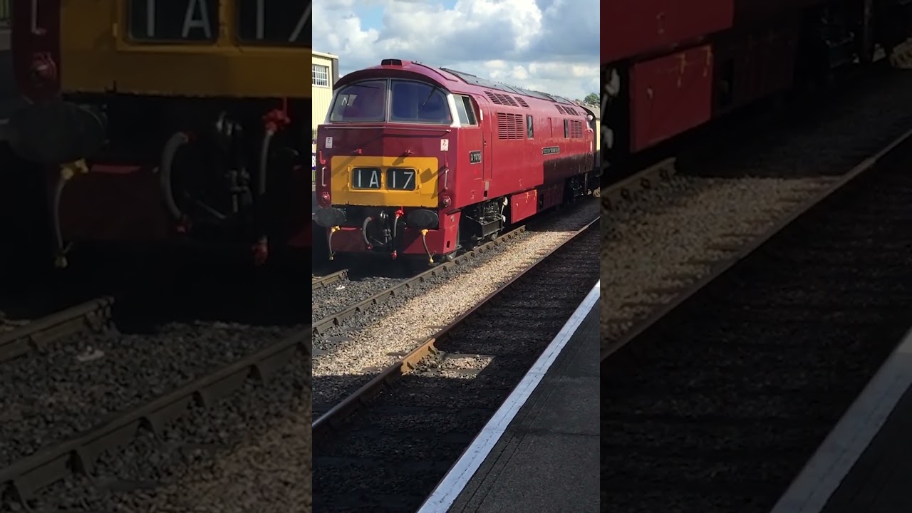 #D1010 #Western #Campaigner #Diesel #Maybach #locomotive #WestSomerset #hydraulic #dieselpower #GWR