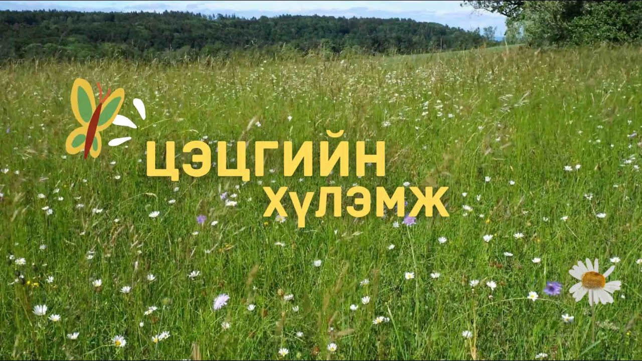 ErhemBat - Tsetsgiin Hulemj.(Music Video)