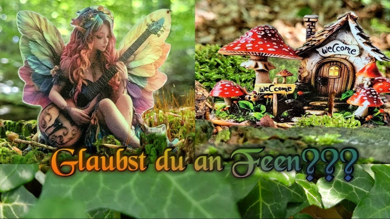 Der Zauberhafte Wald / Der Feenweg