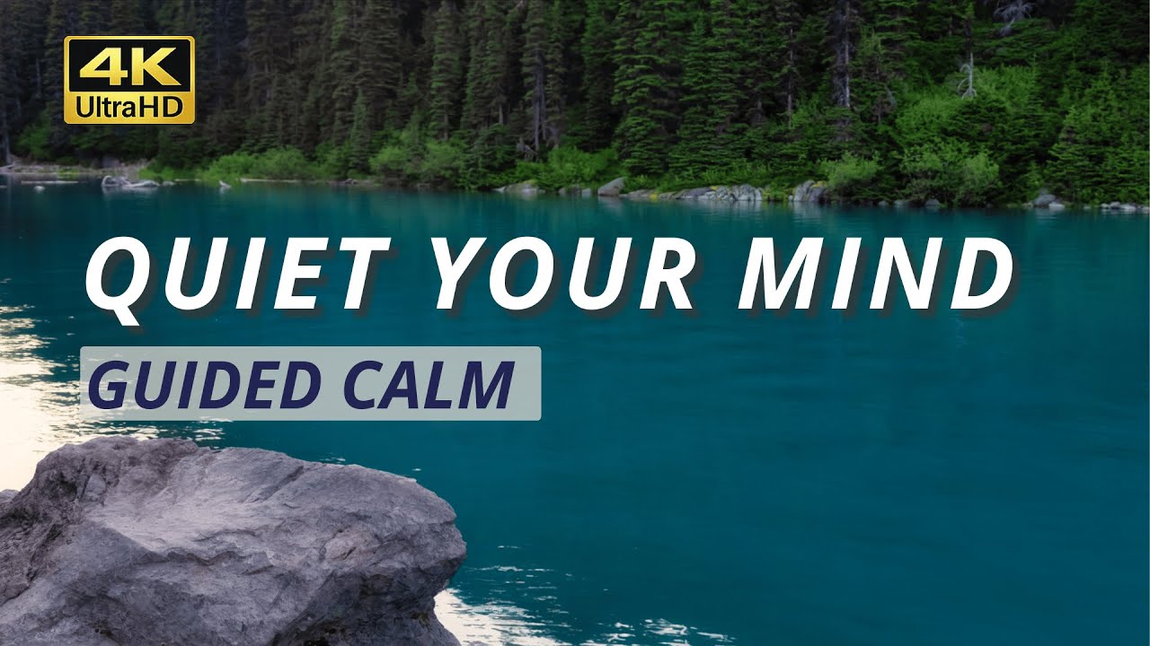 Nervous System Reset: 20 Min Anxiety Relief - When STRESS is TOO Much [4K]