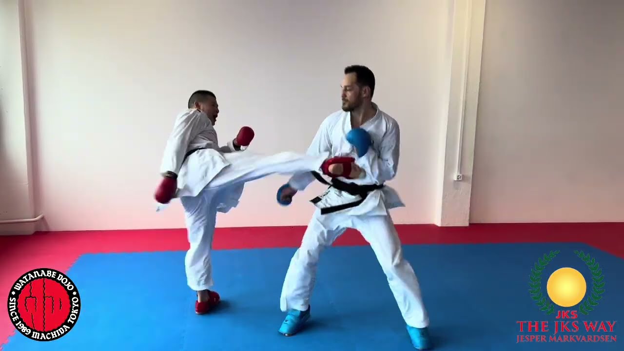 Defence against kizamizuki wkf-style by Watanabe-sensei