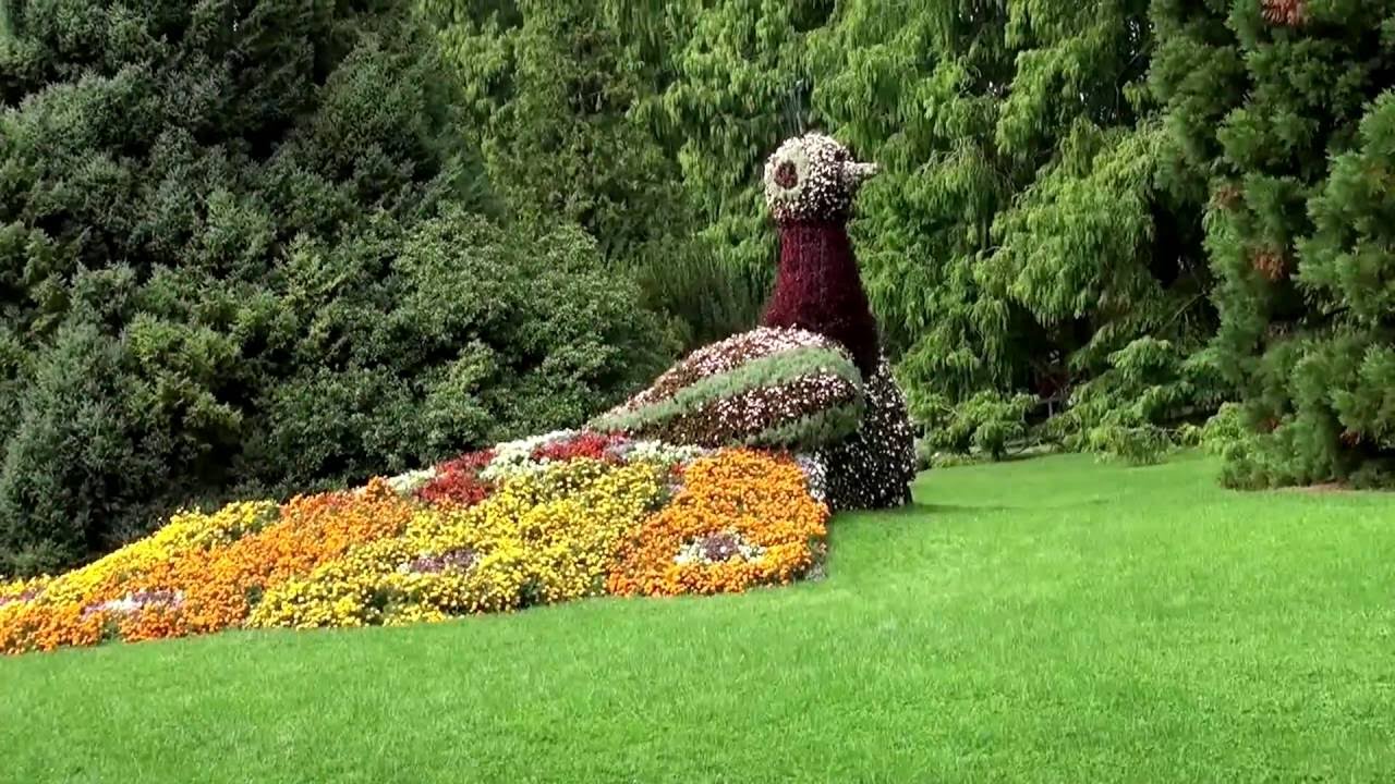 Wyspa kwiatowa  Mainau