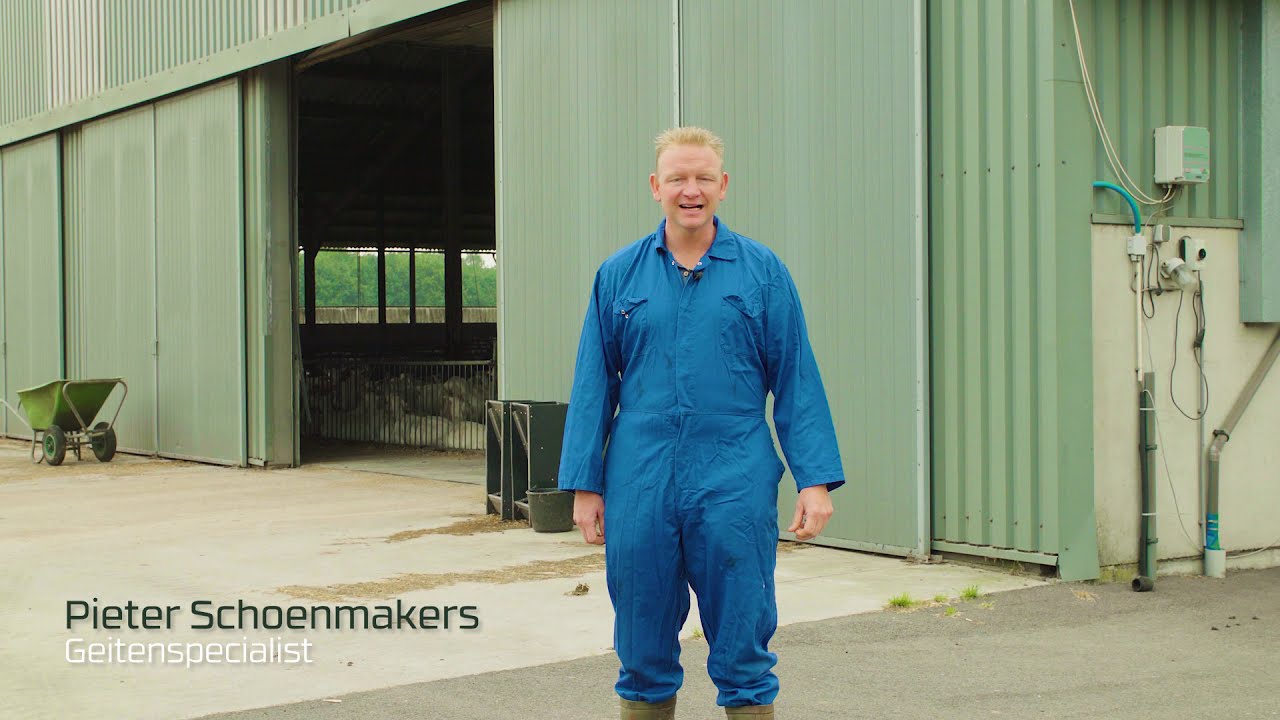 Voorkomen van Hittestress bij geiten - Pieter Schoenmakers