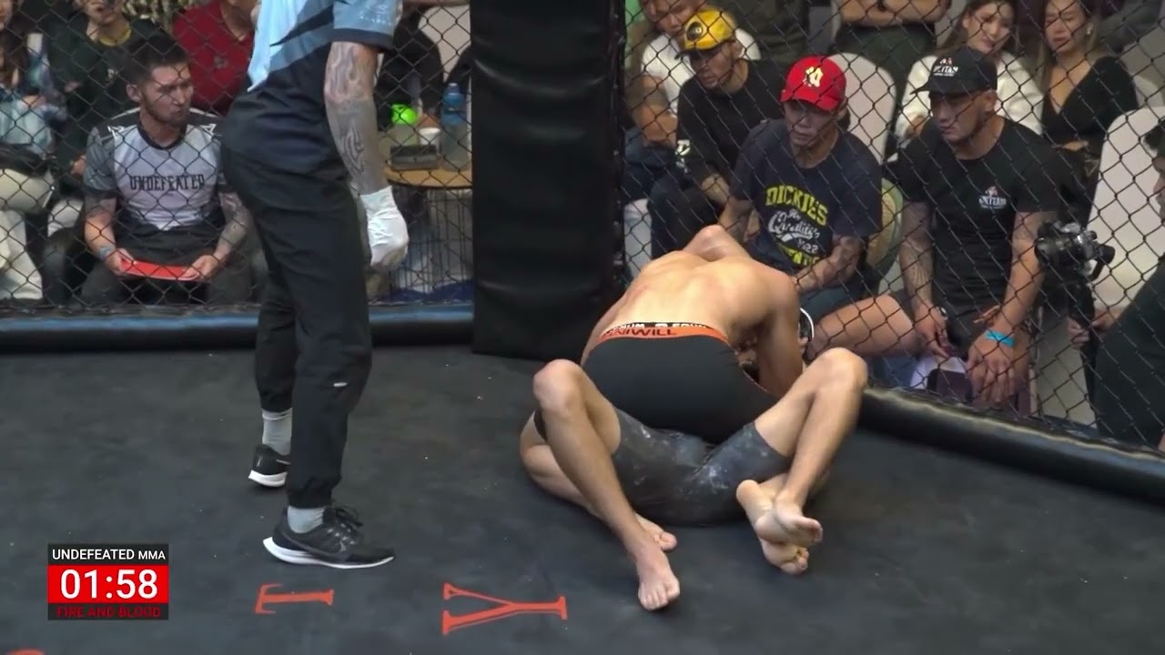 Tumur-Ochir Lkhagvadorj vs. Ganbaatar Bat-Ireedui (pro mma 65.8kg)