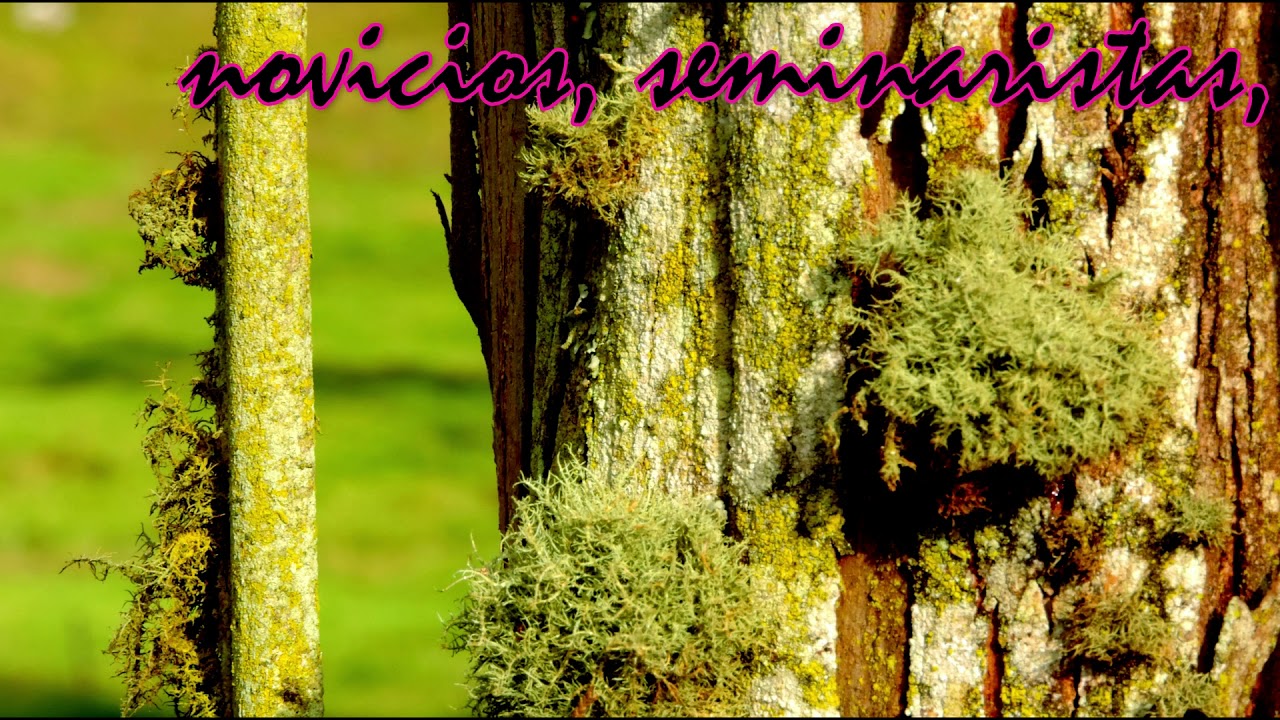Canción Claretiana - CLARETIANOS EN SALIDA.