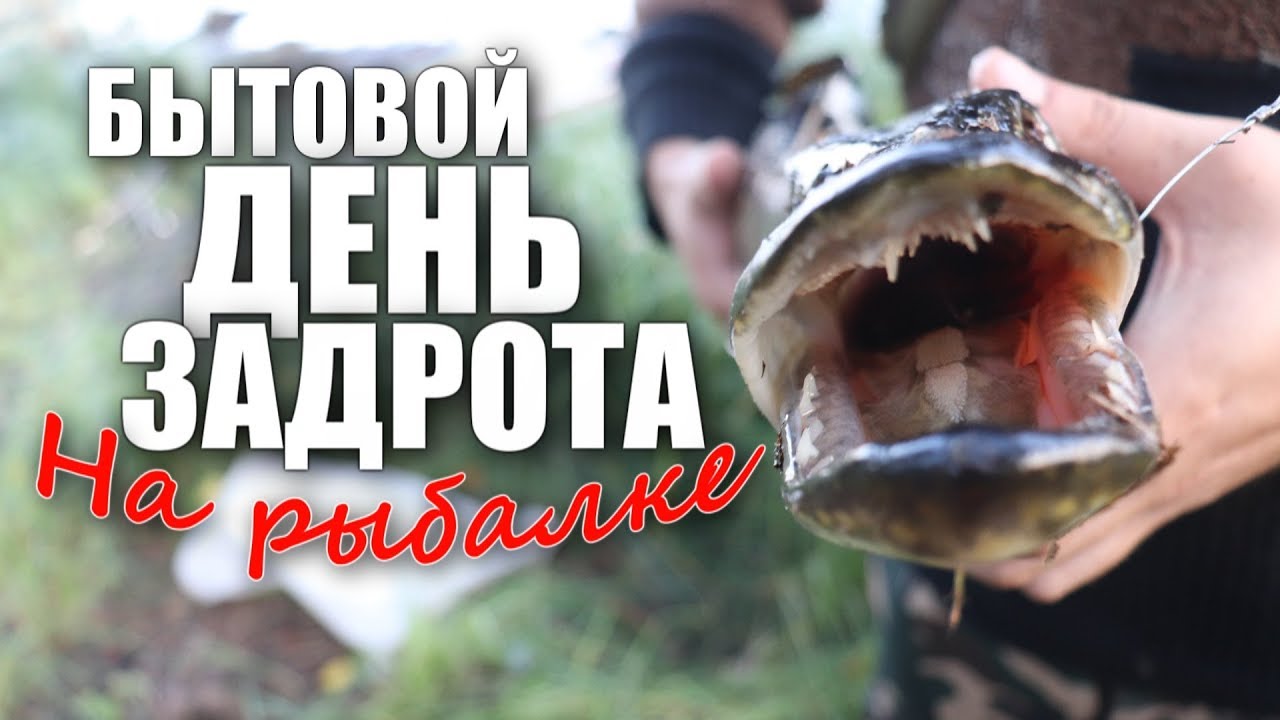 БЫТОВОЙ ДЕНЬ ЗАДРОТА НА РЫБАЛКЕ (18+)