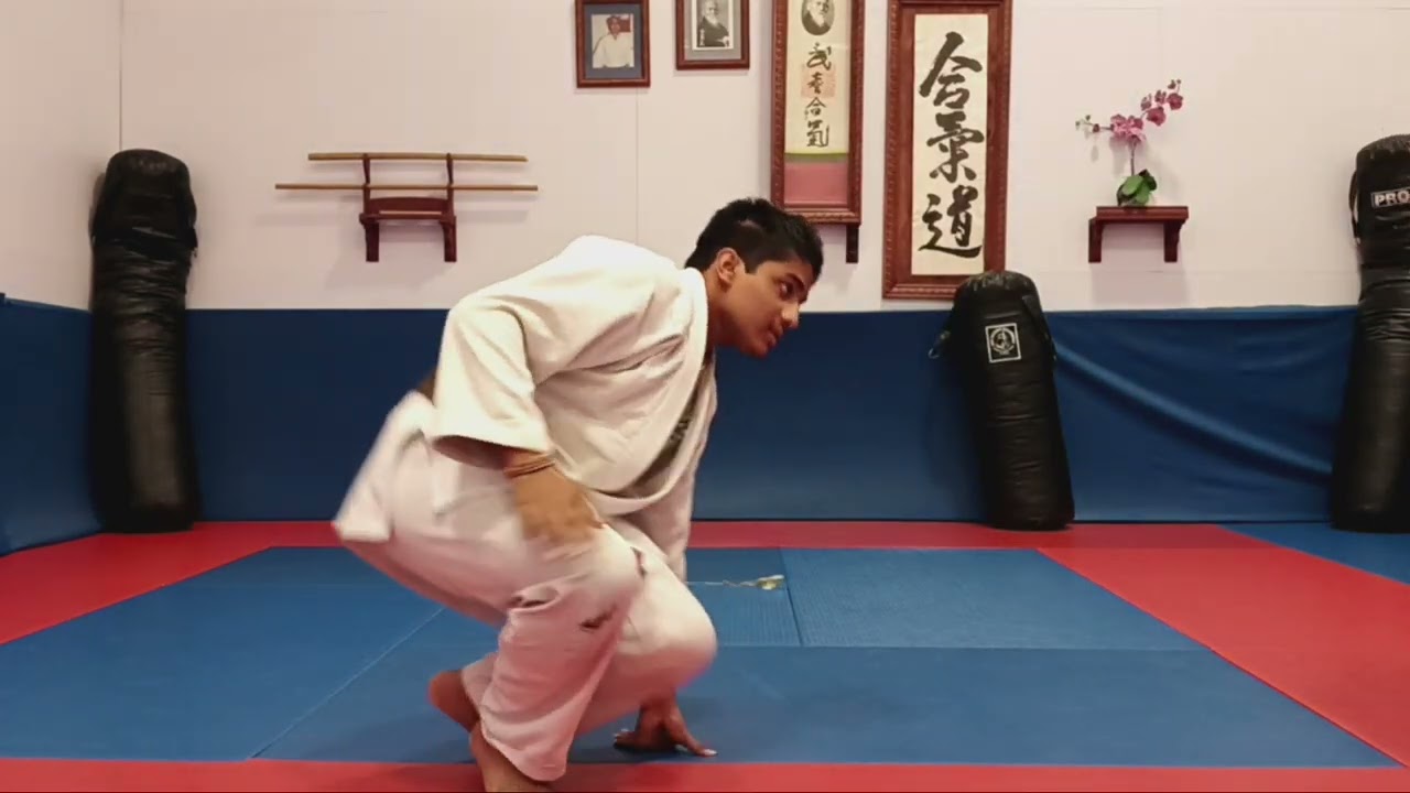 Aikido sparring 9/16/2024
