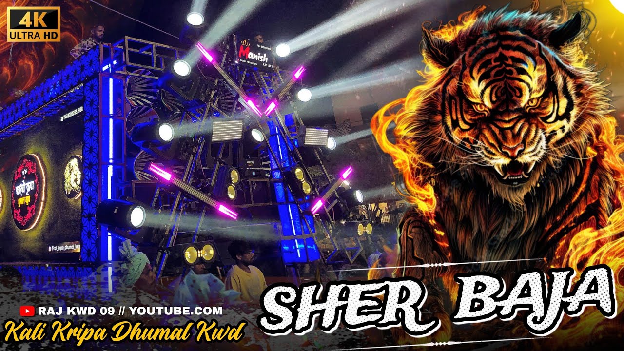 ये नहीं सुना तो क्या सुना 🦁🔥 Sher Baja Mix - Kali Kripa Dhumal Group Kwd - Tiger Dhun - Raj Kwd 09