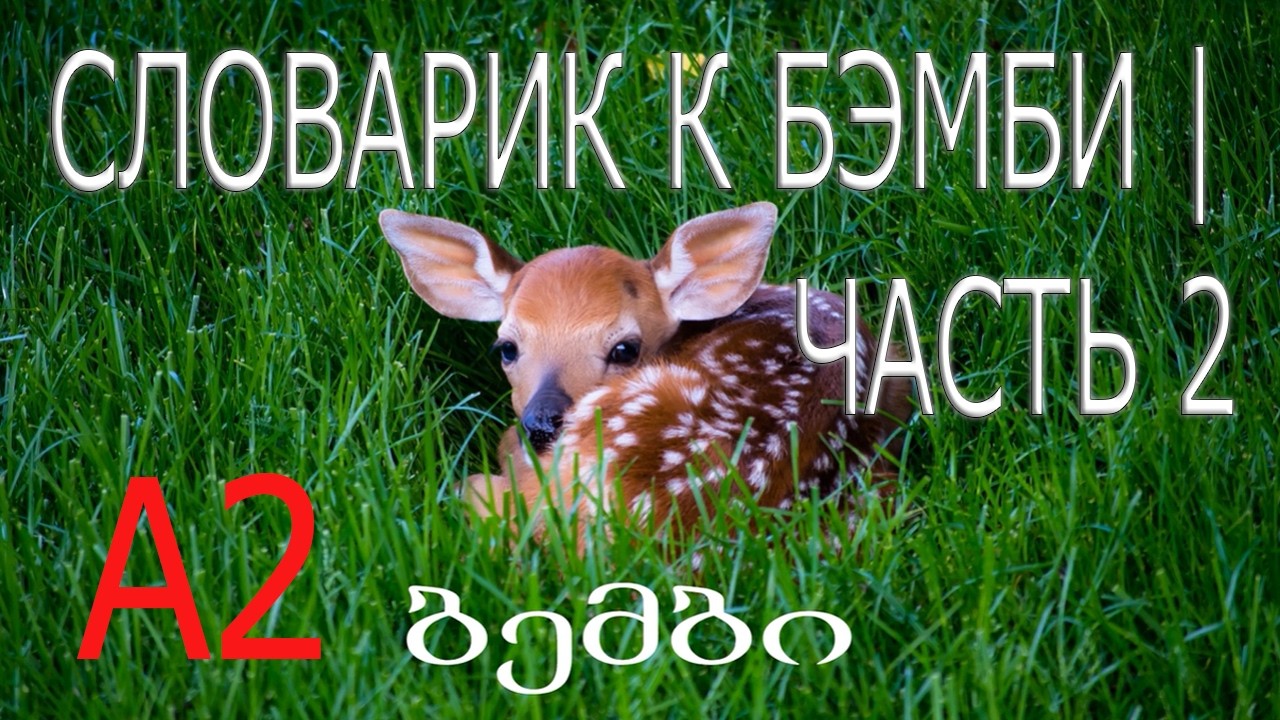 Разбираем лексику «Бэмби» (A2) — дальше только на слух часть 2