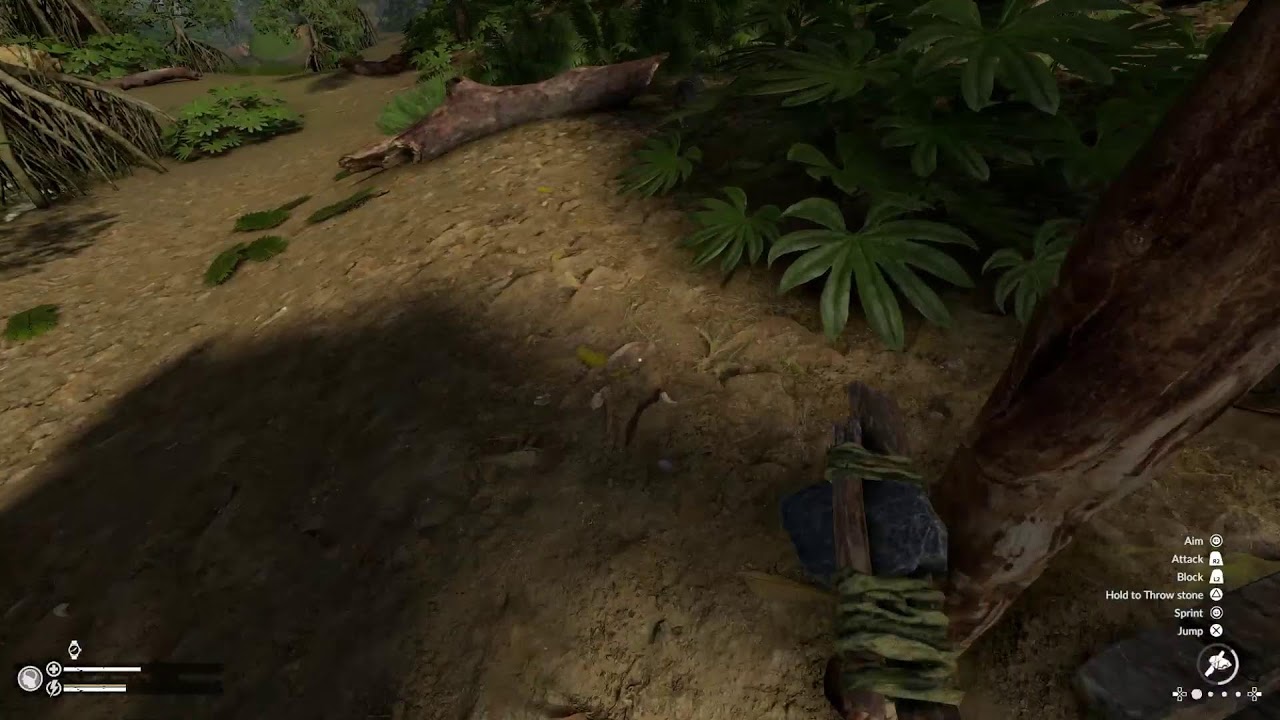 The Green Hell survival