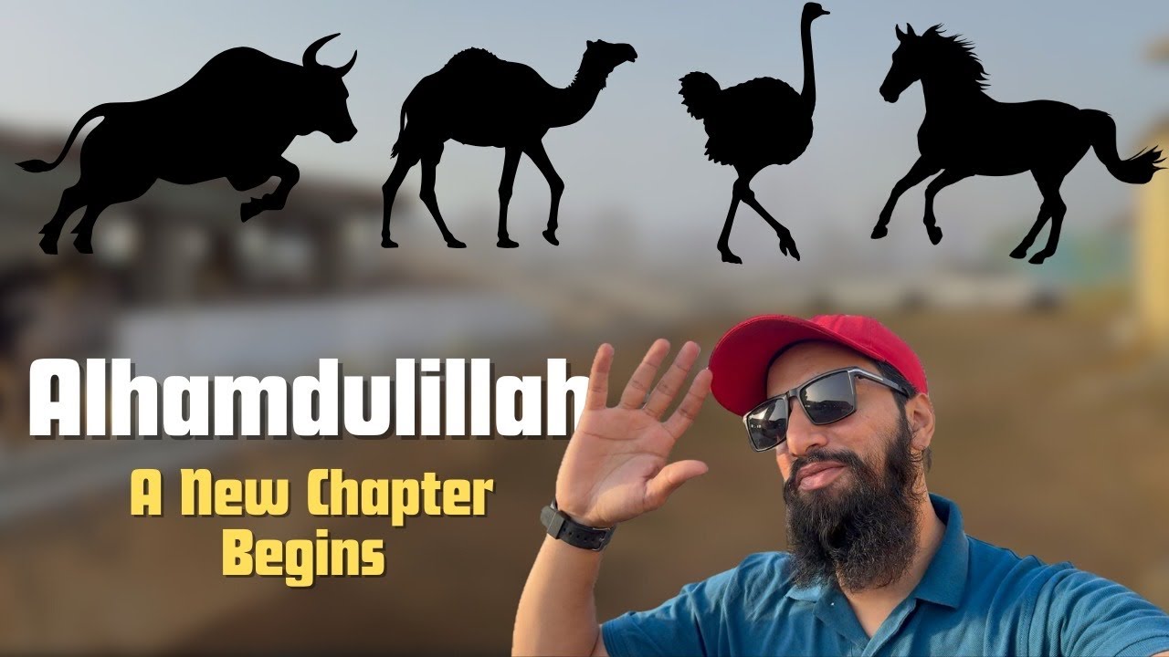 Cow, Camel, Horse, or….?🧐 | Lets Find Out! | AR Maani