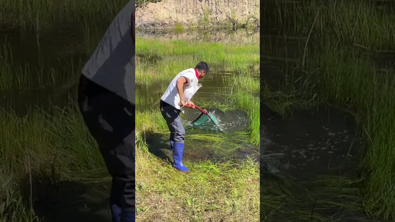 Fish Catching New idea #fishing #ytshorts
