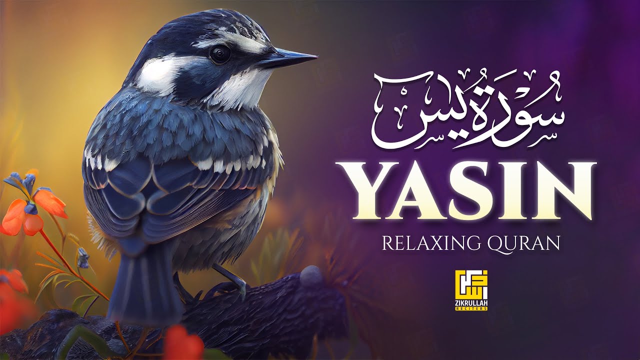 Surah Yasin (سورة يس) | Most Heart Melting Quran Recitation | Zikrullah Reciters