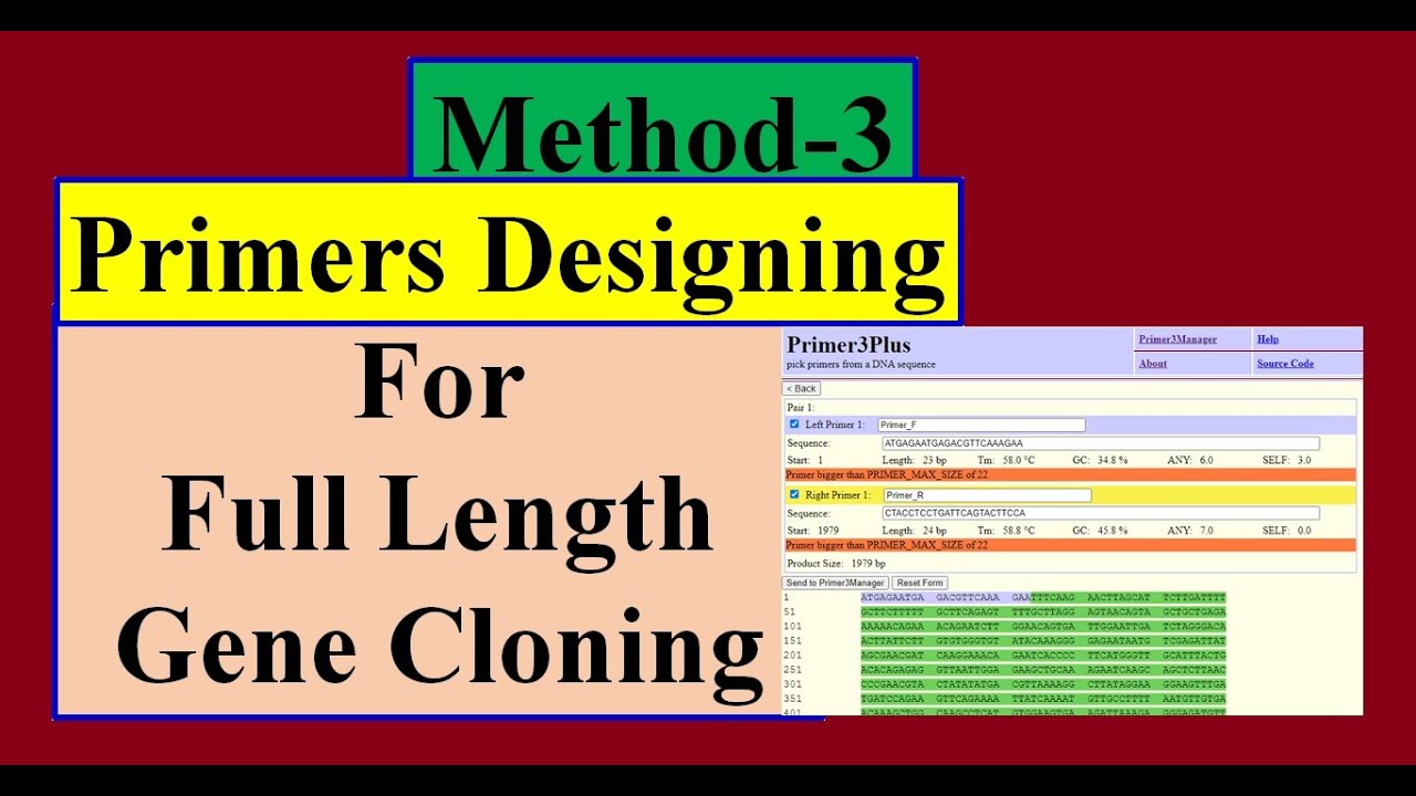 Primer designing for full length gene Cloning Method 3 | Bioinformatics Primer3Plus