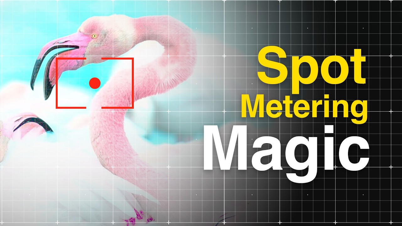 Why Spot Metering WILL Improve Your Photography FAST