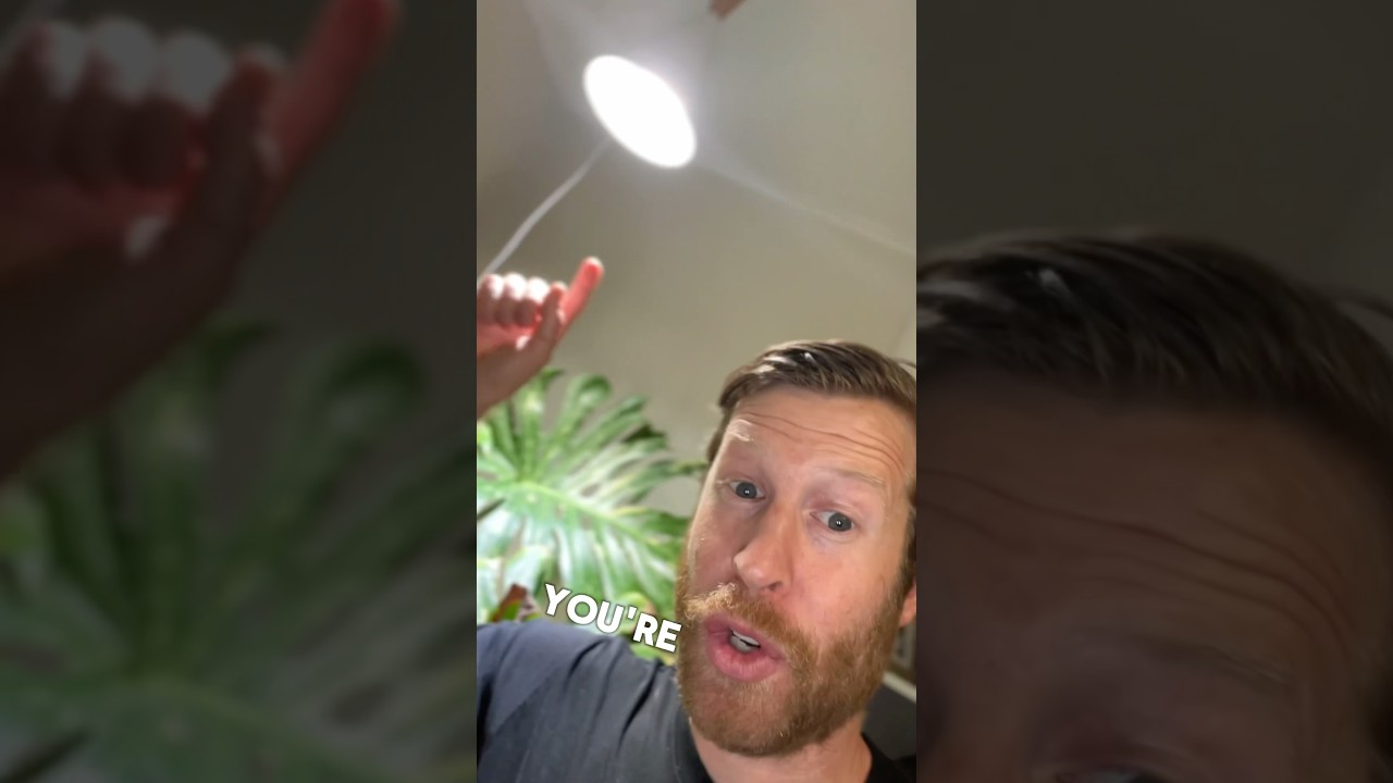 ДОСТУПНЫЙ СВЕТ ДЛЯ РАСТЕНИЙ НА ЗИМУ 💡