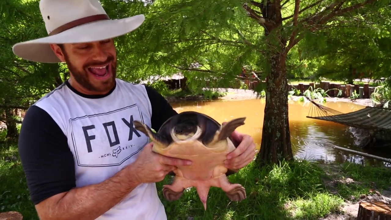 How To Build an Epic Fly River Turtle Pond!