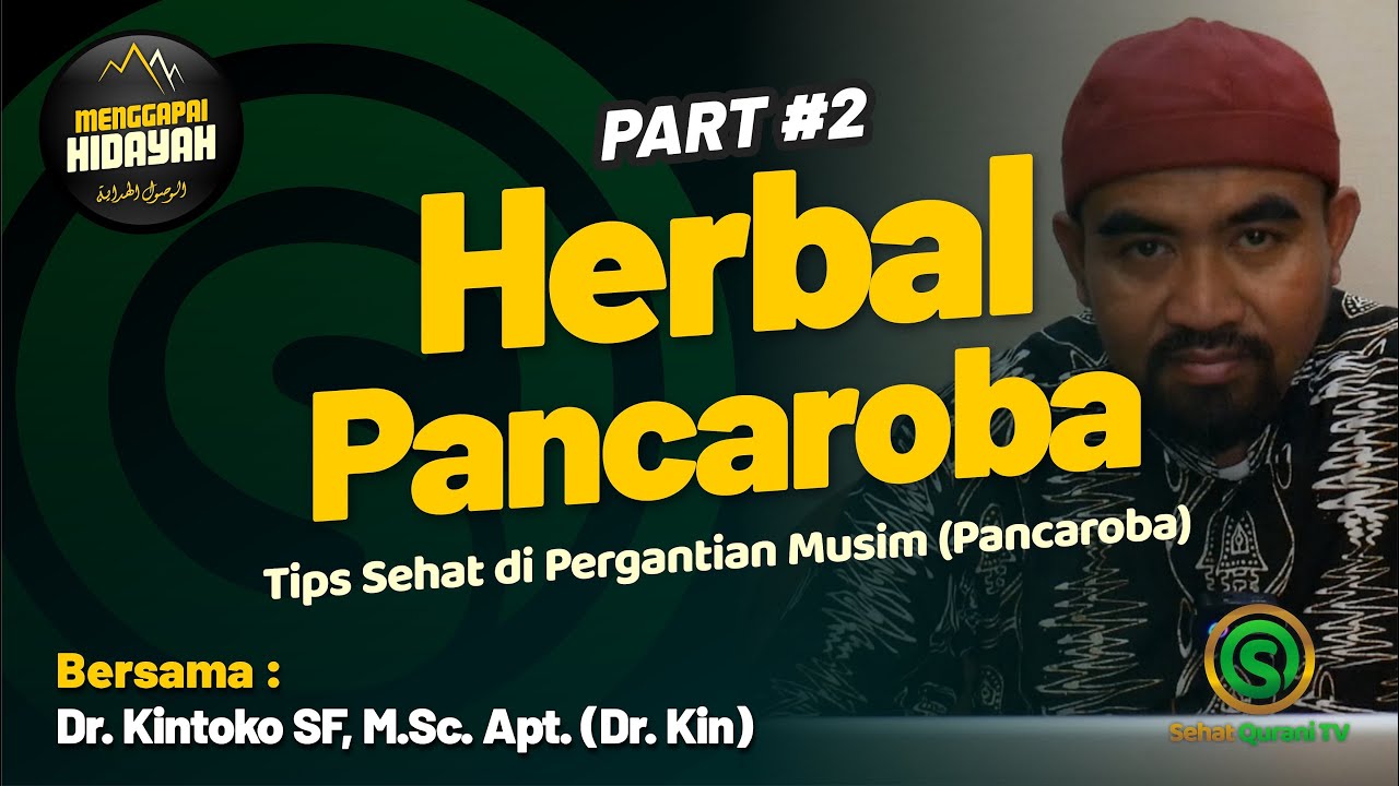 🟡 WAJIB TAHU! HERBAL PANCAROBA 