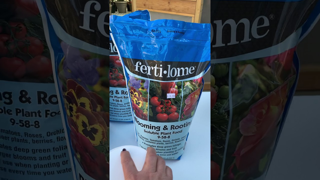 Q fertilizante usar para q sus coronas de Cristo tengan mas flores 🌹