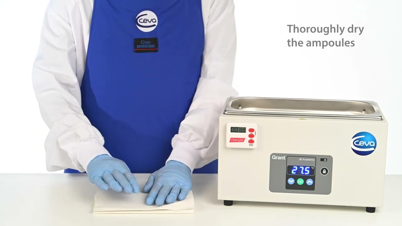 How to reconstitute frozen Gumboro vaccine for injection application (Step by step)