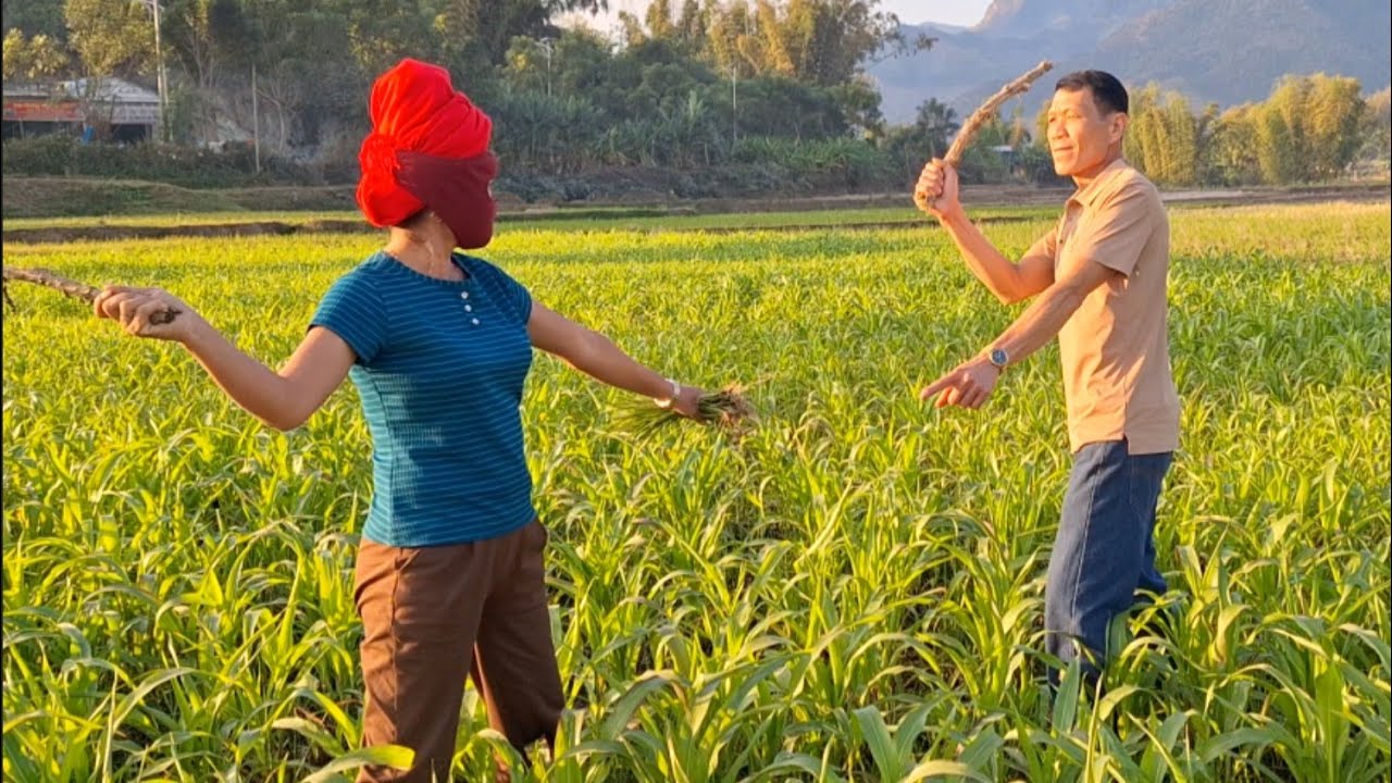 NỌNG THÍCH ĐƯA AI CHIỂN SỰ TÓNG HÙ CĂM HẨƯ