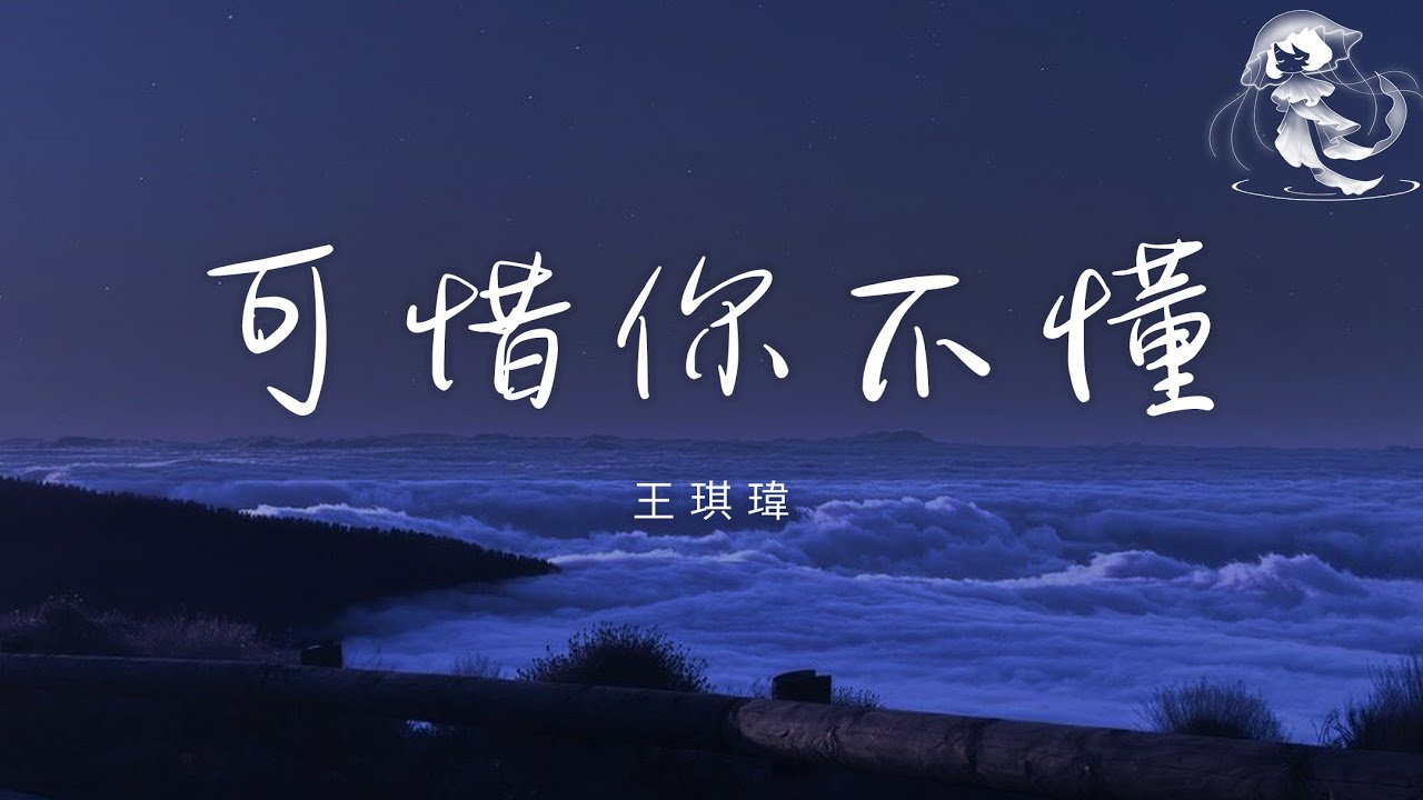 王琪瑋 - 可惜你不懂 「我看見你的心裡空空 步履匆匆 像支微風 拂我眼紅」【動態歌詞】♪