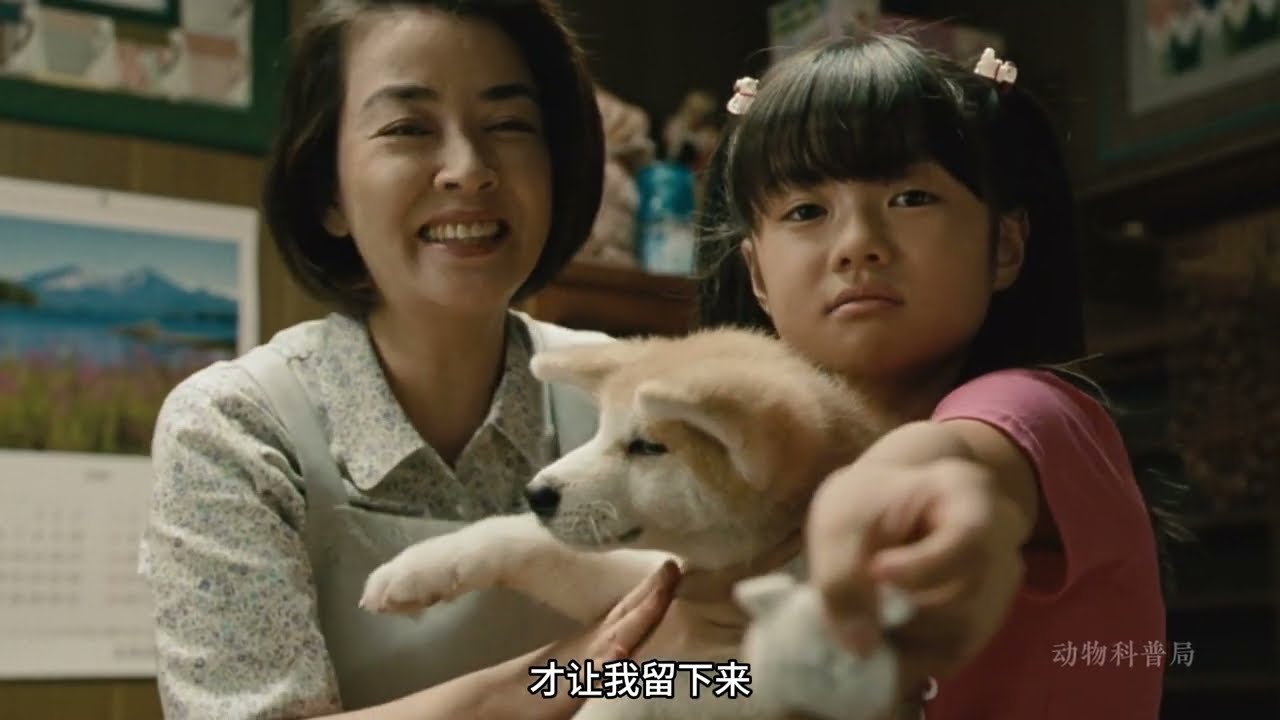 患病主人与忠犬的感人故事
