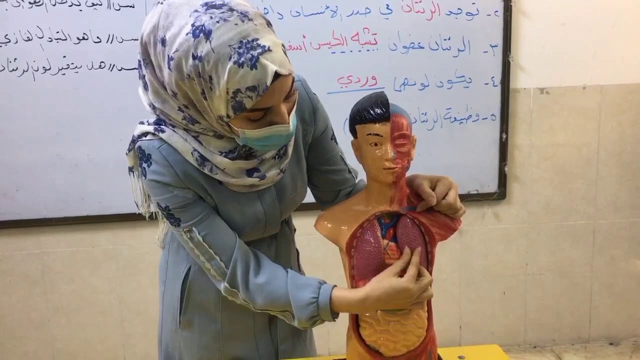 العلوم/ الرئتان /الصف الثاني