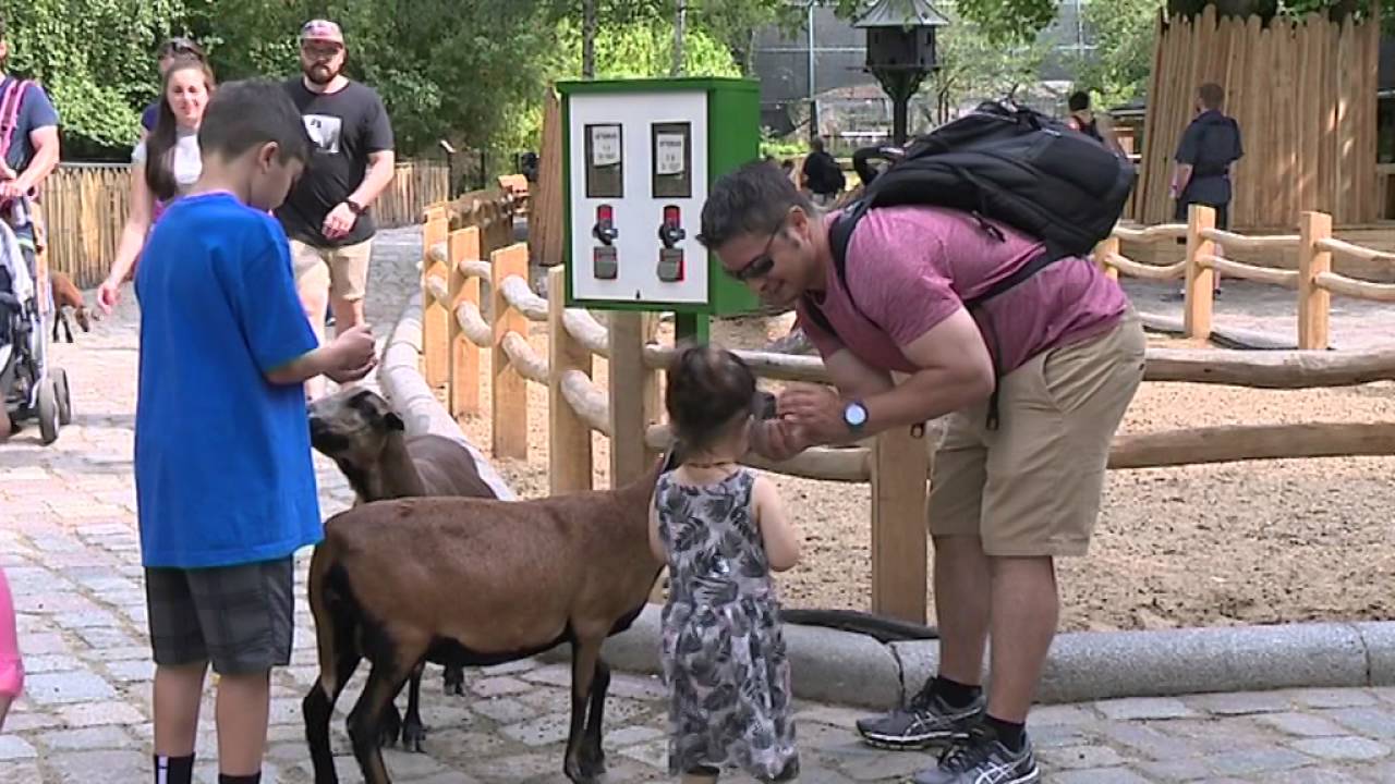 Zoo-Eingang Löwentor in neuem Glanz/Nahaufnahme