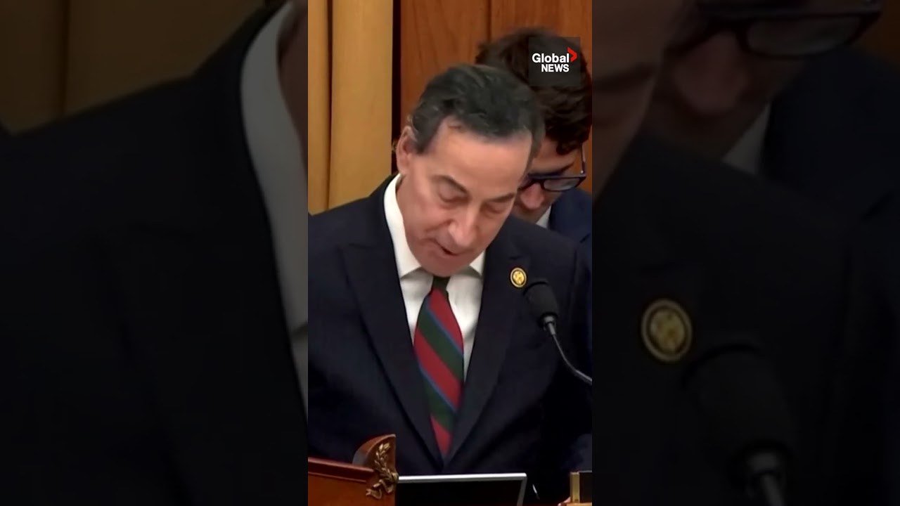 Raskin slams Bondi on Epstein files, says she is 