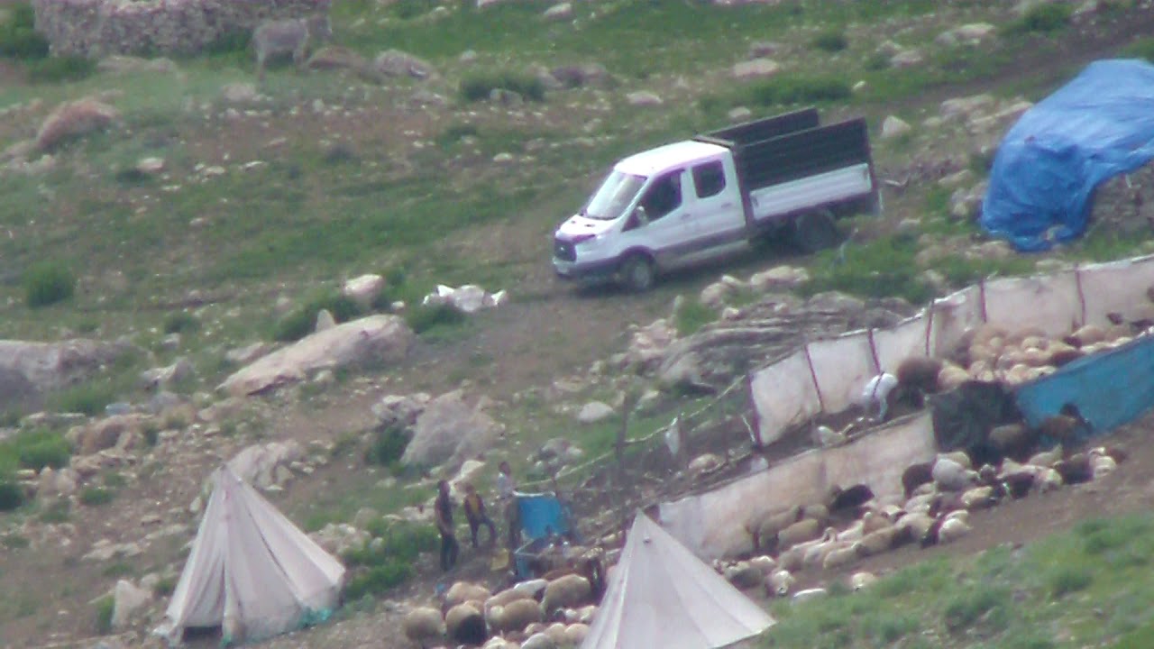 Erzincan üzümlü köylerinden krş Sarıkaya dumanlı  yaylası
