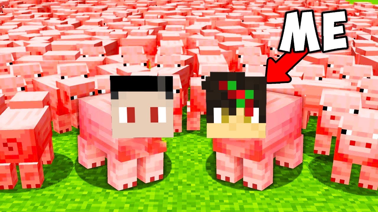 Minecraft But We Survived in PIG Village..