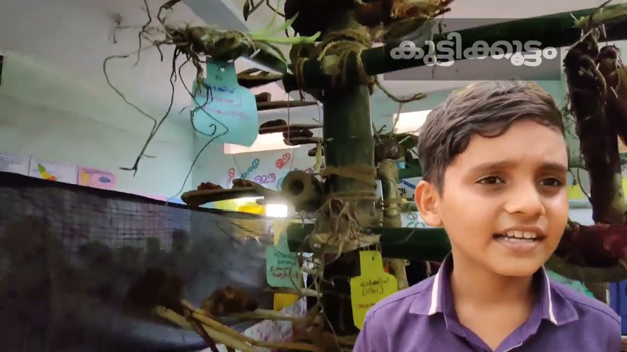 കിഴങ്ങ് വർഗ്ഗ പ്രദർശനം