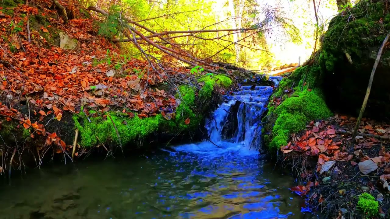 10 Hours of Relaxing River Sounds – Calm Nature ASMR for Sleep #sleepsounds #asmr #relaxingsounds