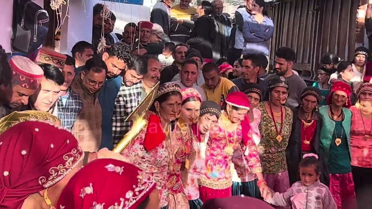 जौनसारी शादी में दूल्हा दुल्हन की सुंदर प्रस्तुति ❤️🥰🌸#jonsarisong #jonsariculture #chakrata 😎