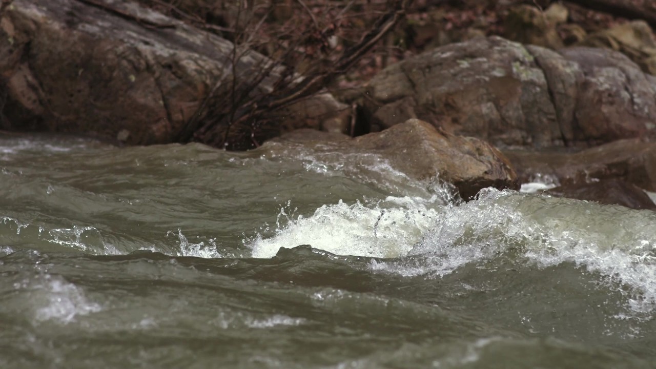 River Current Sounds 🌊 | Fast Flowing Water Ambience