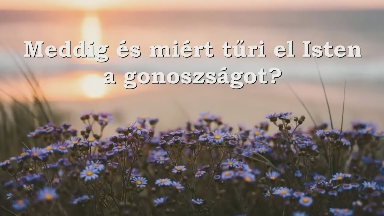 Meddig és miért tűri el Isten a gonoszságot? - Vígh Ágnes