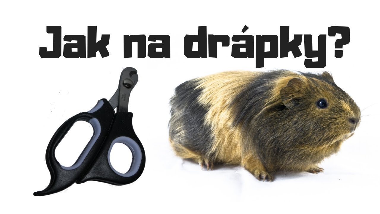 Stříhání drápků