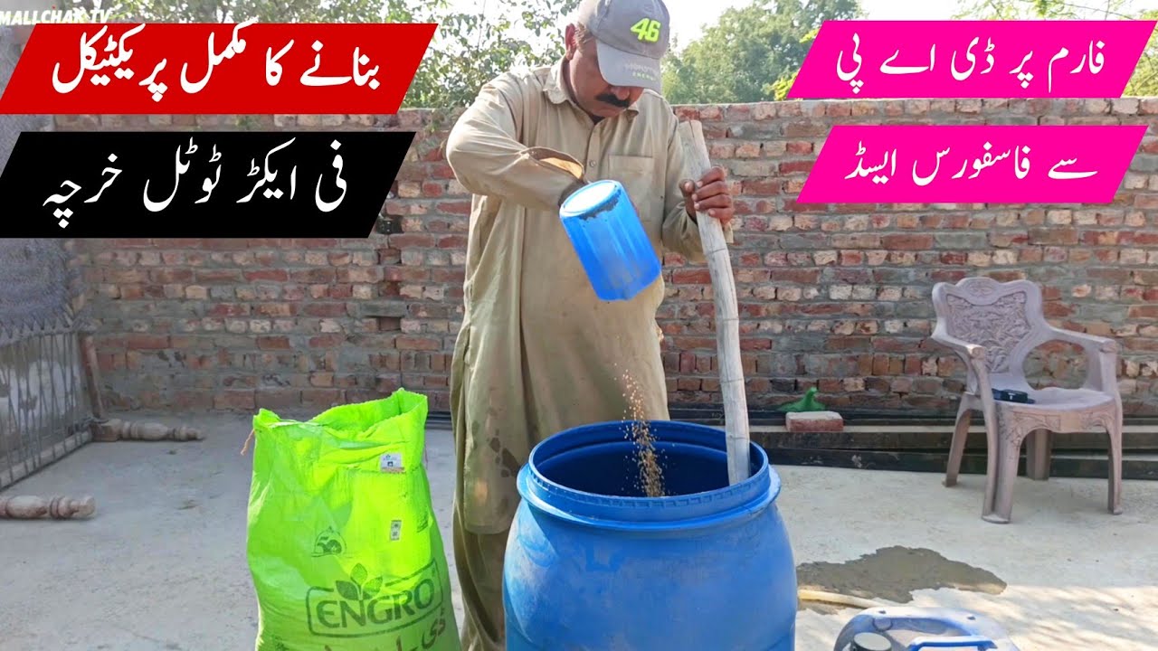 Make Phosphoric Acid with DAP | Gandam Ki Fasal Per Phosphoric Acid Ka Istemal