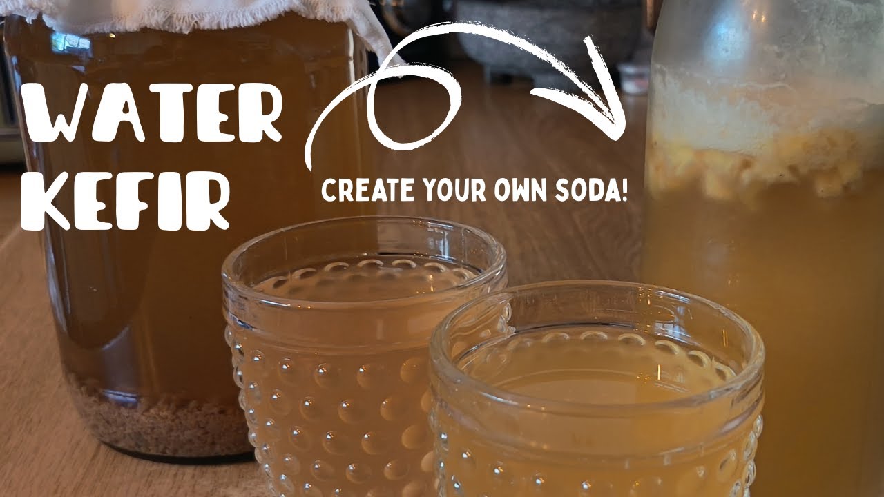 Bubbly & Thriving: How I Care for My Water Kefir Grains #waterkefir #probiotics