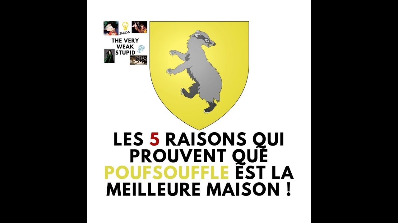 Les 5 raisons qui prouvent que Poufsouffle est la meilleure maison !!!