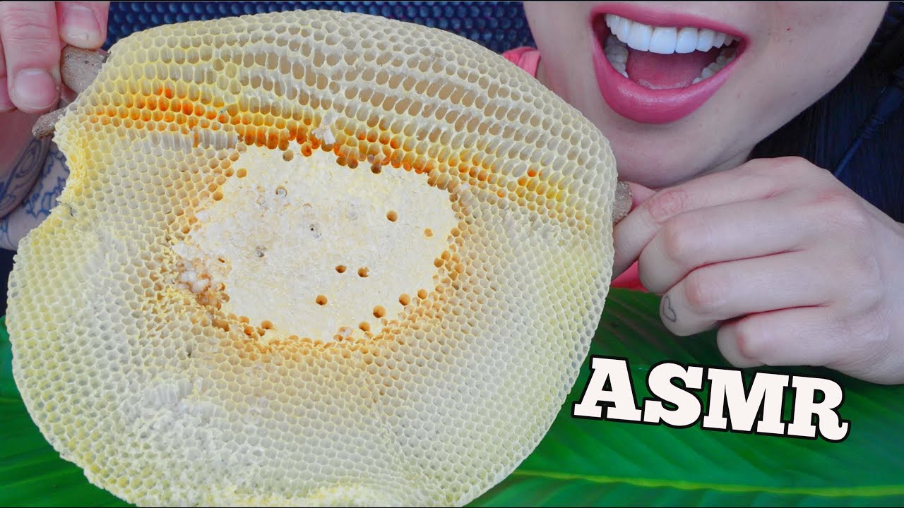 ASMR RAW HONEYCOMB (RELAXING SOFT EATING SOUNDS) NO TALKING | SAS-ASMR