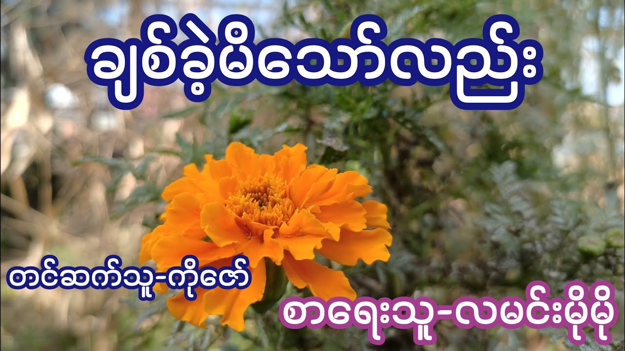ချစ်ခဲ့မိသော်လည်း ( စ / ဆုံး ) စာရေးသူ-လမင်းမိုမို / တင်ဆက်သူ-ကိုဇော်